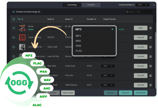 Convert Music to Popular Audio Formats