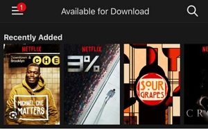 available for download | netflix download