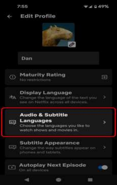 tap on language | how to change language on netflix