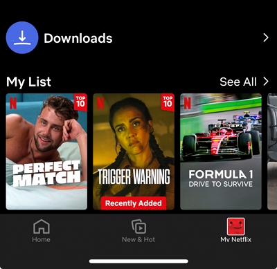 my netflix | how to download movies on netflix