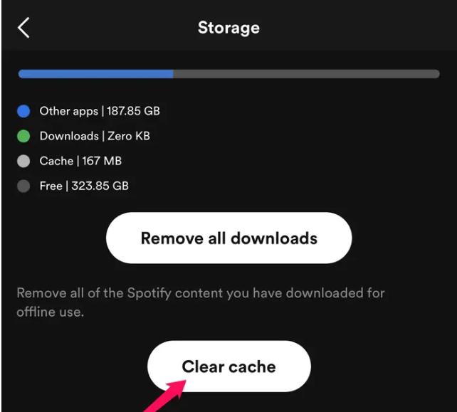 tap Clear Cache | Can Spotify Download Without WiFi