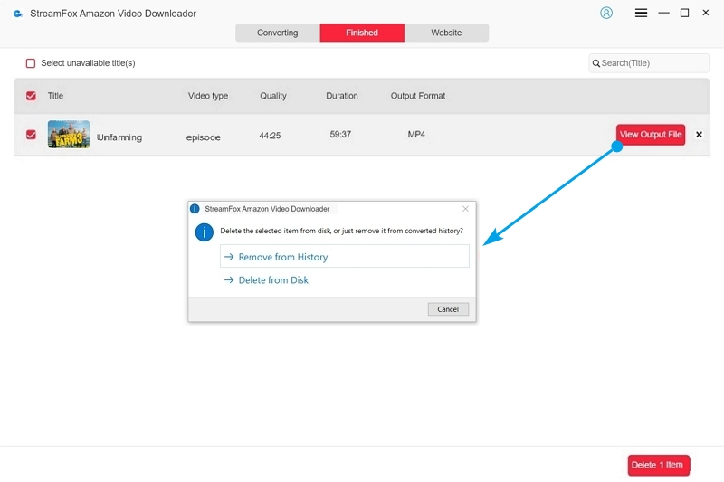 view output files | where are amazon prime video downloads stored on pc