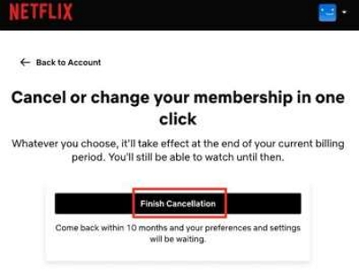 finish cancellation | how to delete an account on netflix