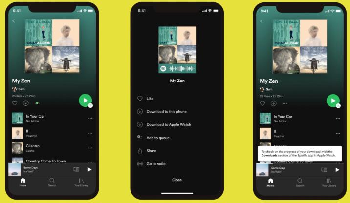 download songs to Apple Watch via phone Spotify  | Download Spotify Songs to Apple Watch without Premium