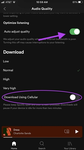 toggle on Download using cellular | Download Songs on Spotify Using Cellular Data