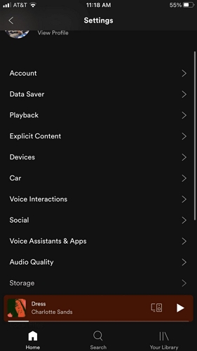 select Audio Quality | Spotify Not Downloading Songs