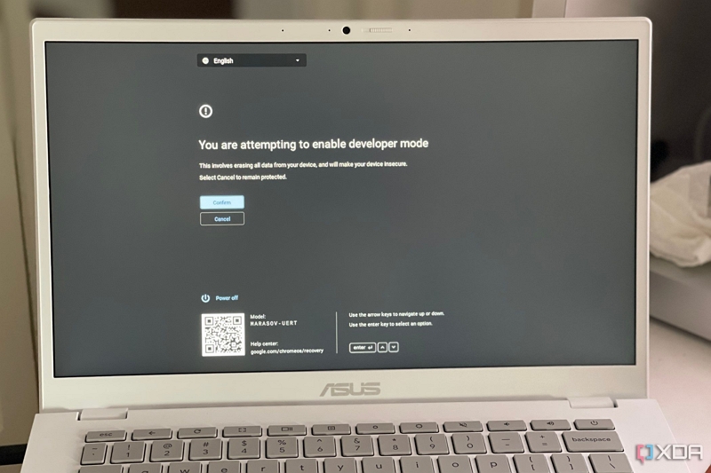 recovery screen appears | amazon prime video download chromebook