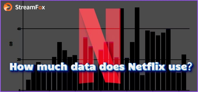 open streamfox netflix video downloader | how much data does netflix use