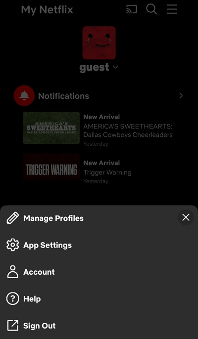 app settings | how to download movies on netflix