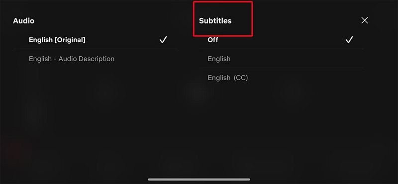 simply choose your desired options | download subtitles netflix