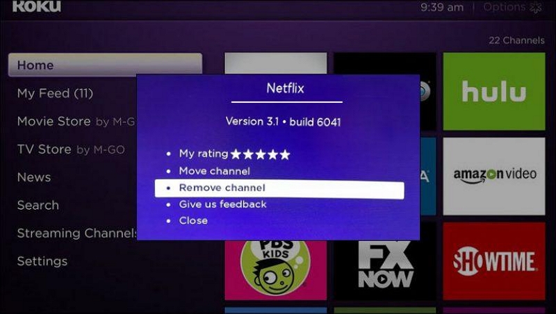 remove channel roku | how to sign out of netflix on roku