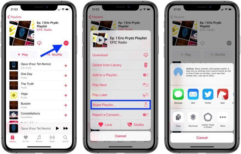 select Copy | Download Apple Music Playlists to MP3