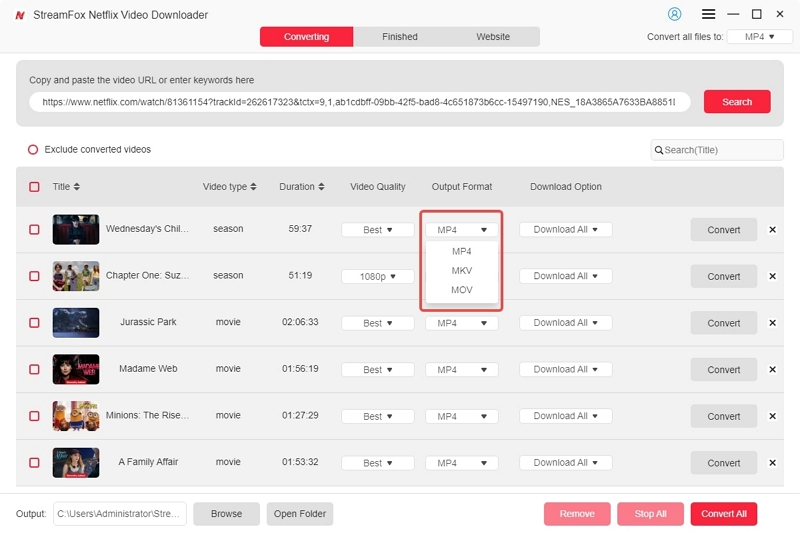 customize output format | streamfox netflix video downloader user guide