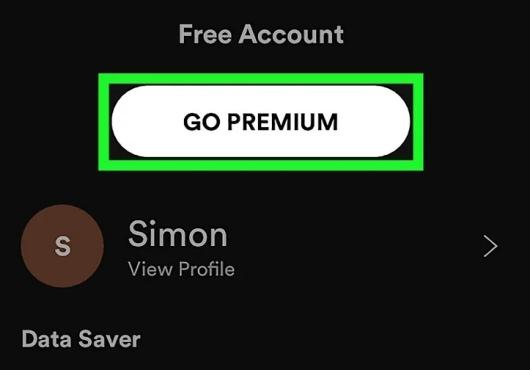 check subscription status | Can Spotify Download Without WiFi