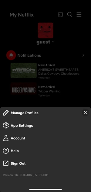 app settings | can you watch netflix offline