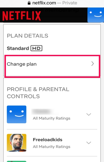 change plan | why will netflix not work