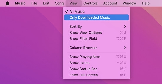 find downloads Apple Music | Download Songs from Apple Music on Mac